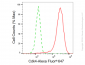 KD-Validated Anti-Cdk4 Rabbit Monoclonal Antibody