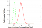 KD-Validated Anti-Integrin alpha 5 Rabbit Monoclonal Antibody