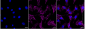 KD-Validated Anti-Integrin alpha 5 Rabbit Monoclonal Antibody