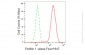 KD-Validated Anti-Flotillin 1 Rabbit Monoclonal Antibody