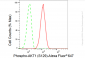 KD-Validated Anti-Phospho-AKT1 (S129) Rabbit Monoclonal Antibody