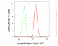 KD-Validated Anti-Smad4 Rabbit Monoclonal Antibody