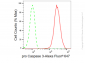 KD-Validated Anti-pro Caspase 3 Rabbit Monoclonal Antibody
