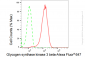 KD-Validated Anti-Glycogen synthase kinase 3 beta Rabbit Monoclonal Antibody