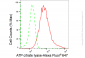 KD-Validated Anti-ATP citrate lyase Rabbit Monoclonal Antibody