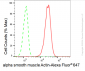 KD-Validated Anti-alpha smooth muscle Actin Rabbit Monoclonal Antibody