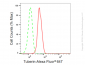 KD-Validated Anti-Tuberin Rabbit Monoclonal Antibody