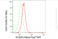KD-Validated Anti-ACSS2 Rabbit Monoclonal Antibody