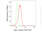 KD-Validated Anti-DAXX Rabbit Monoclonal Antibody