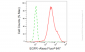 KD-Validated Anti-EGFR Rabbit Monoclonal Antibody