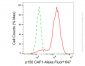 KD-Validated Anti-p150 CAF1 Rabbit Monoclonal Antibody