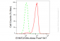 KD-Validated Anti-EHMT2/G9A Rabbit Monoclonal Antibody