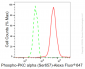 KD-Validated Anti-Phospho-PKC alpha (Ser657) Rabbit Monoclonal Antibody