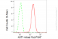KD-Validated Anti-AKT1 Rabbit Monoclonal Antibody