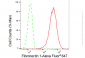 KD-Validated Anti-Fibronectin 1 Rabbit Monoclonal Antibody