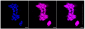 KD-Validated Anti-Smad2 Rabbit Monoclonal Antibody