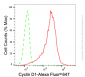 KD-Validated Anti-Cyclin D1 Rabbit Monoclonal Antibody