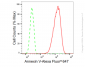 KD-Validated Anti-Annexin V Rabbit Monoclonal Antibody