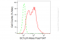 KD-Validated Anti-GC1q R Rabbit Monoclonal Antibody