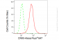 KD-Validated Anti-CRKII Rabbit Monoclonal Antibody
