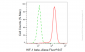 KD-Validated Anti-HIF 1 β Rabbit Monoclonal Antibody