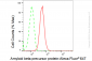 KD-Validated Anti-Amyloid beta precursor protein Rabbit Monoclonal Antibody