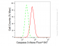 KD-Validated Anti-Caspase 3 Rabbit Monoclonal Antibody