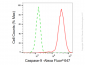 KD-Validated Anti-Caspase-9 Rabbit Monoclonal Antibody