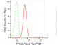 KD-Validated Anti-TFE3 Rabbit Monoclonal Antibody
