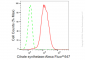 KD-Validated Anti-Citrate synthetase Rabbit Monoclonal Antibody