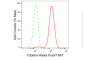 KD-Validated Anti-Tuberin Rabbit Monoclonal Antibody
