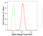 KD-Validated Anti-Stat3 Rabbit Monoclonal Antibody