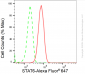 KD-Validated Anti-STAT6 Rabbit Monoclonal Antibody