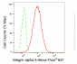 KD-Validated Anti-Integrin alpha 5 Rabbit Monoclonal Antibody