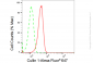 KD-Validated Anti-Cullin 1 Rabbit Monoclonal Antibody
