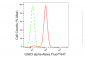 KD-Validated Anti-GSK3 alpha Rabbit Monoclonal Antibody