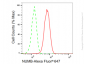 KD-Validated Anti-NUMB Rabbit Monoclonal Antibody