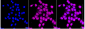 KD-Validated Anti-Glutathione synthetase Rabbit Monoclonal Antibody