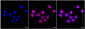 KD-Validated Anti-Cathepsin B Rabbit Monoclonal Antibody