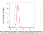 KO-Validated Anti-ARHGDIA Mouse Monoclonal Antibody