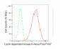 KO Validated Anti-Cyclin Dependent Kinase 6 Rabbit Monoclonal Antibody