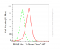 KO Validated Anti-BCL2 Like 11 Rabbit Monoclonal Antibody