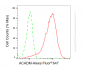 KO Validated Anti-ACADM Rabbit Monoclonal Antibody