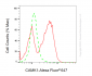 KO Validated Anti-CAMK1 Rabbit Monoclonal Antibody
