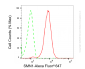 KO-Validated Anti-SMN1 Rabbit Monoclonal Antibody