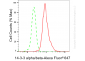 KO-Validated Anti-14-3-3 alpha/beta Rabbit Monoclonal Antibody
