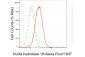 KO-Validated Anti-Nudix Hydrolase 19 Rabbit Monoclonal Antibody