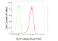 KO-Validated Anti-ETS Transcription Factor ELK1 Rabbit Monoclonal Antibody