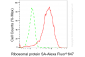 KO-Validated Anti-Ribosomal Protein SA Rabbit Monoclonal Antibody
