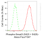 KO-Validated Anti-Phospho-Smad3 (S423 + S425) Rabbit Monoclonal Antibody